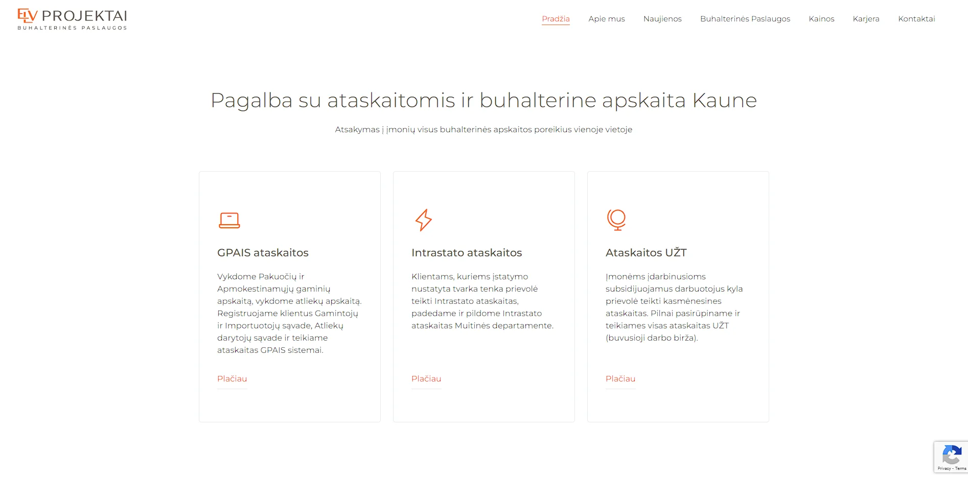 ELV projektai inner page