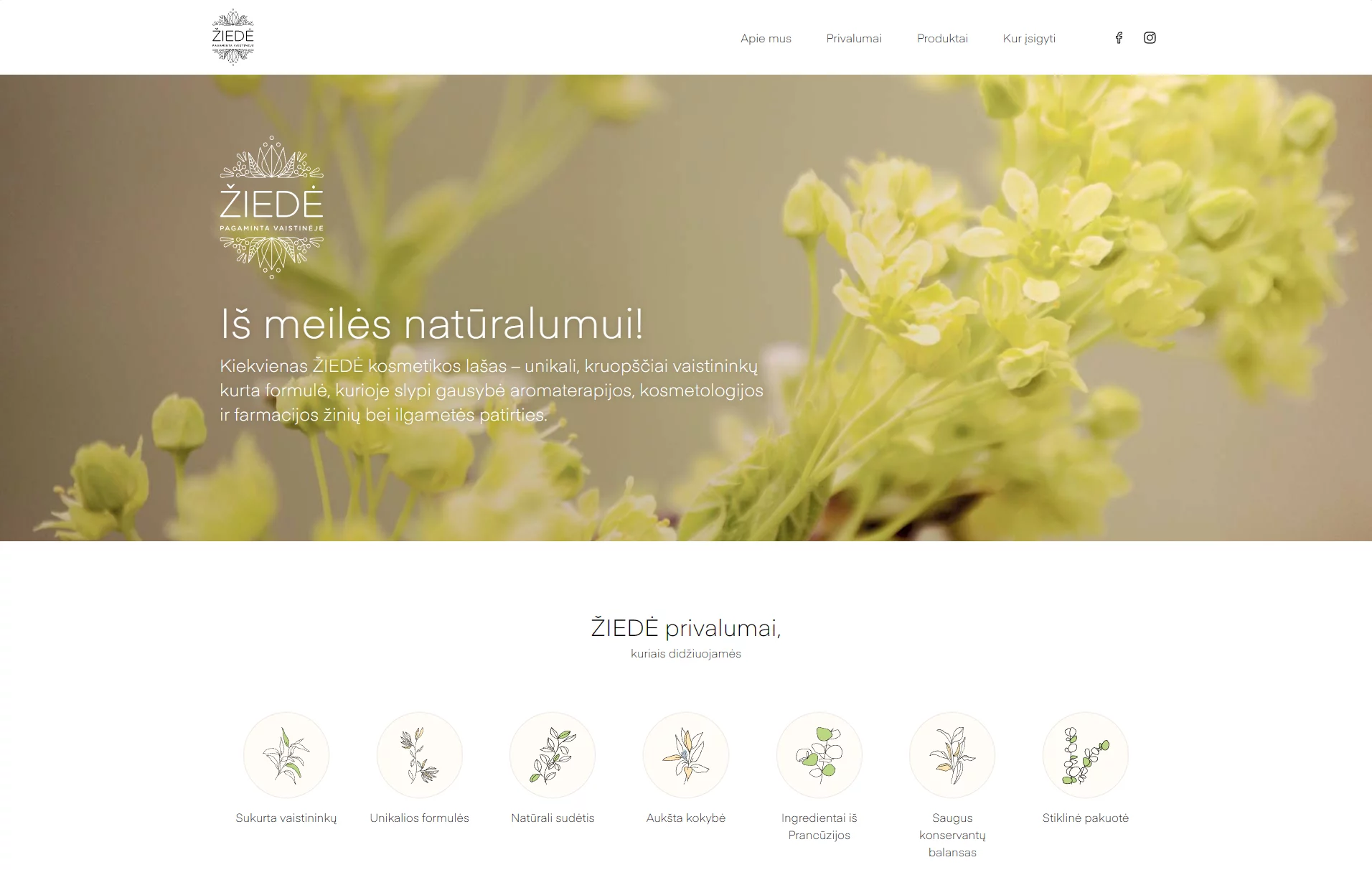 žiedė homepage