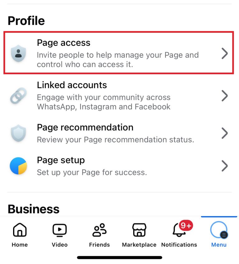 Facebook puslapio prieiga (Page access)