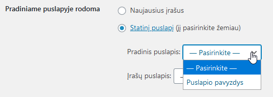 WordPress naujo įrašo kūrimas