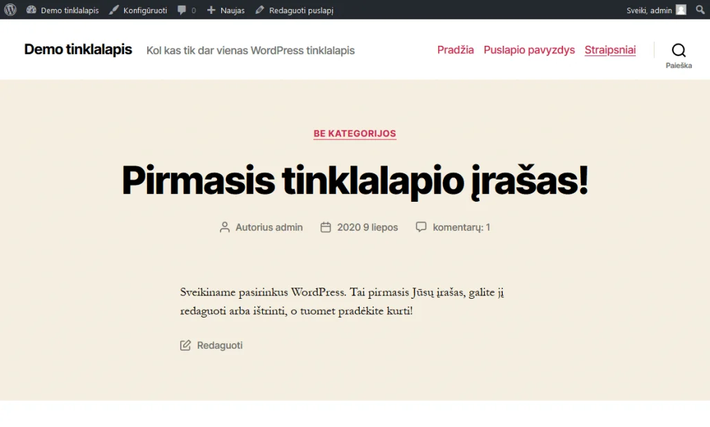 WordPress įrašo kūrimas