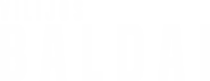 Vilijos baldai logotipas